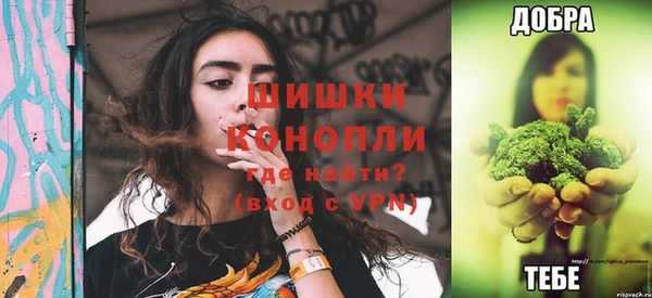 дживик Вязьма