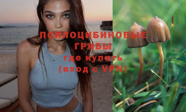дживик Вязьма