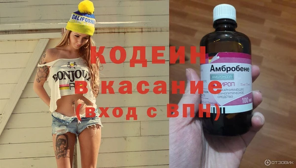 дживик Вязьма
