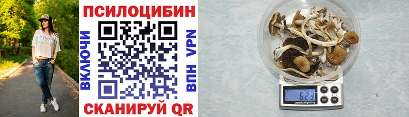 Купить где  Макушино  Галлюциногенные грибы Magic Shrooms 