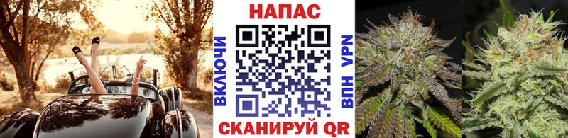 Каннабис план  Купить где  Макушино 
